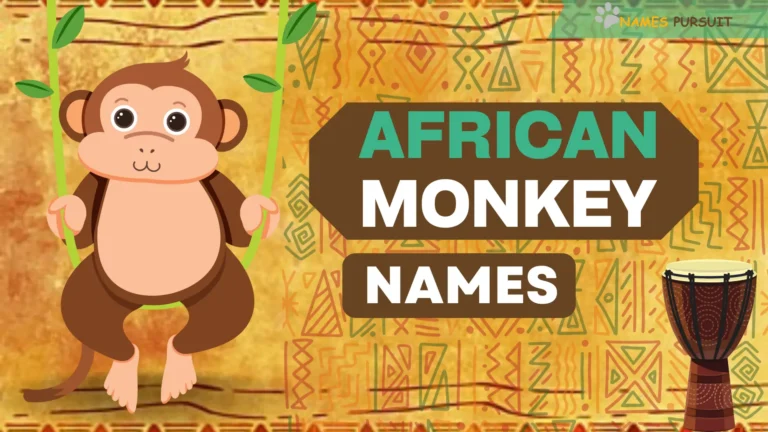 50+ African Names for Monkeys