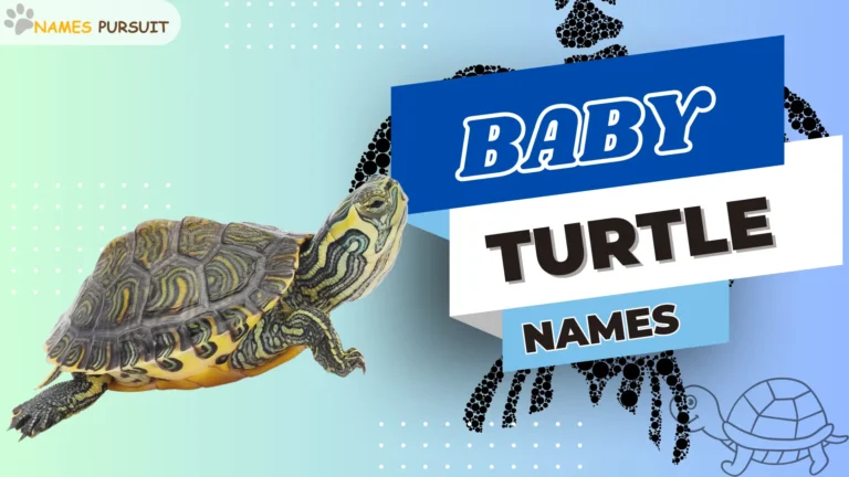 120+ Adorable Baby Turtle Names: Find Your Favorite!