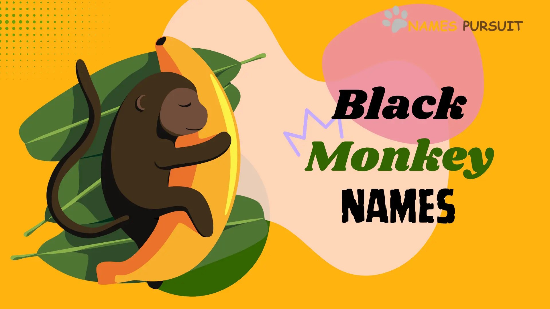 Black monkey names