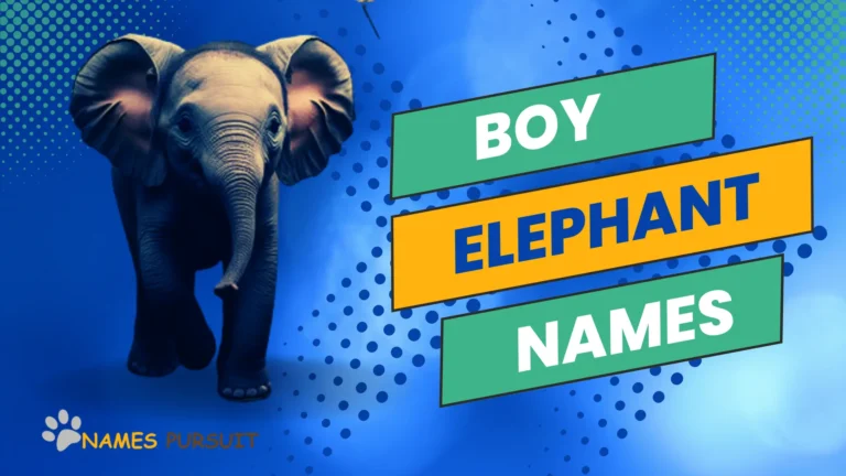 250+ Boy Elephant Names (Cute, Funny & More)