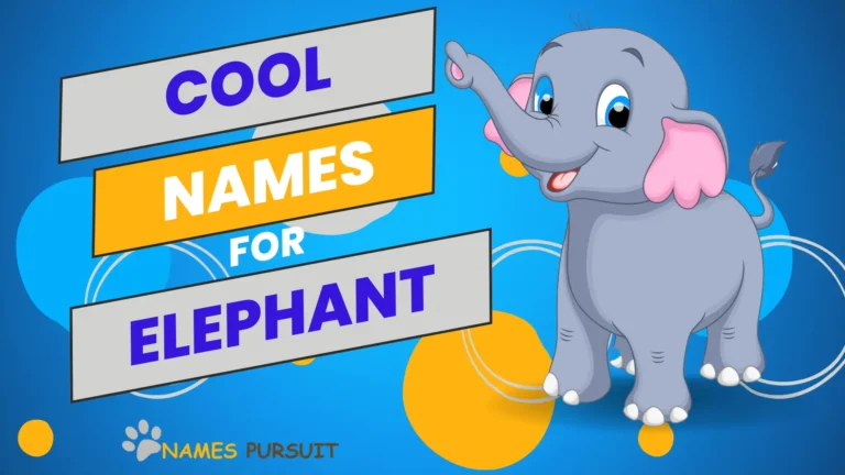 100+ Cool Names for Elephants [A-Z List]