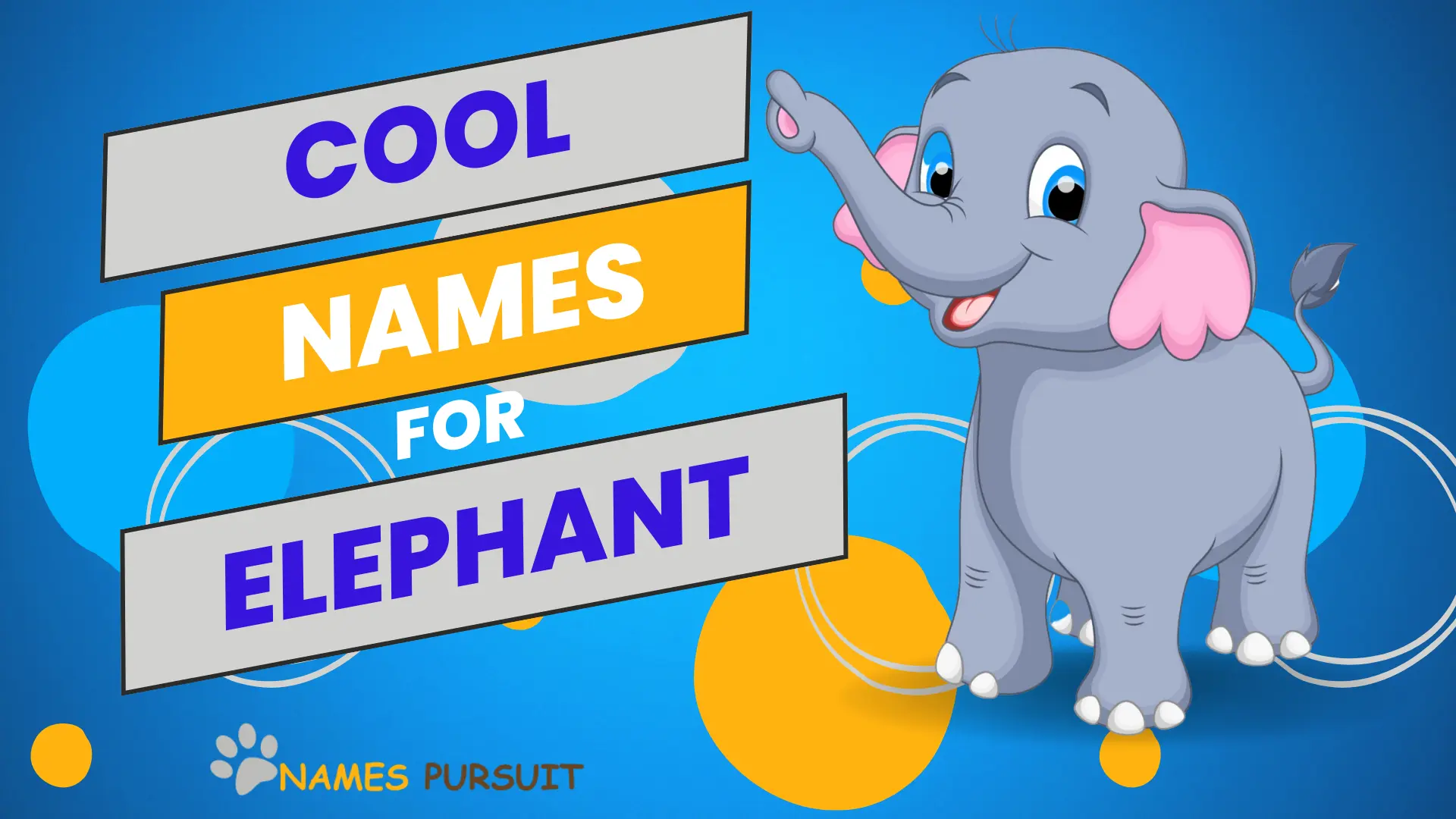 Cool Names for Elephants