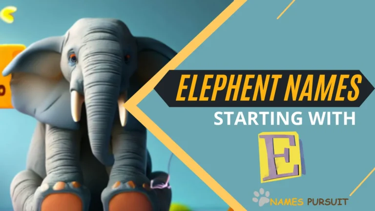 E-xploring Elephant Names Starting with ‘E’