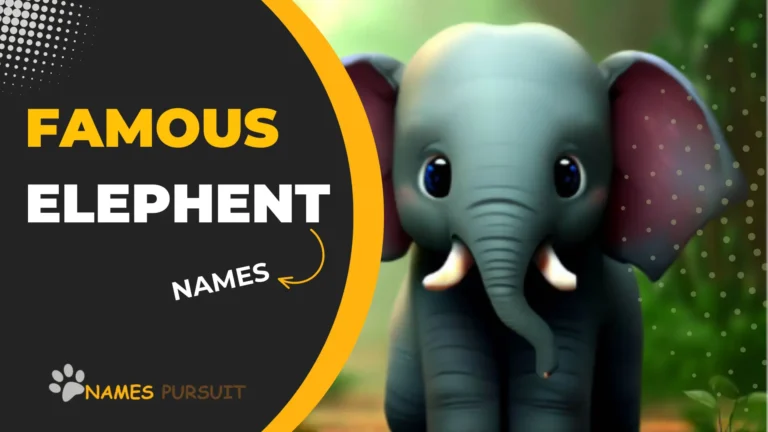 100+ Famous Elephant Names in 2024!