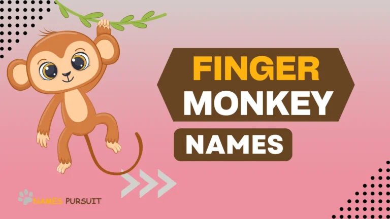 Best Finger Monkey Names