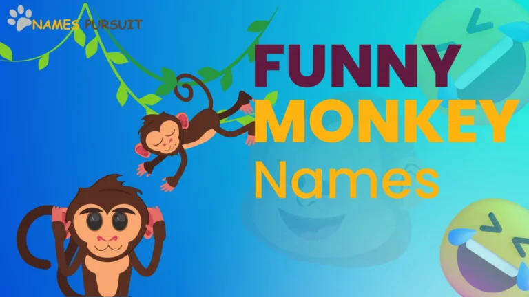 Funny Monkey Names to Make Your Day