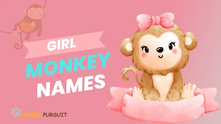 260+ Girl Monkey Names: (Funny, Famous, and Unique)