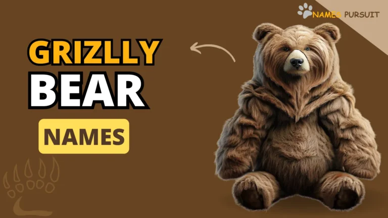 Grizzly Bear Names from Across the World!