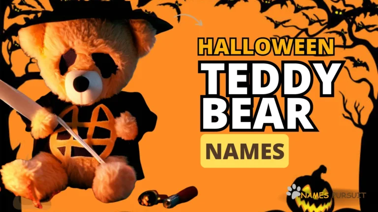 Halloween Teddy Bear Names A-Z