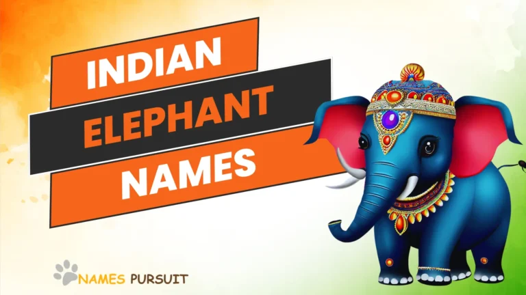 Indian Elephant Names [90+ Inspiring Ideas]