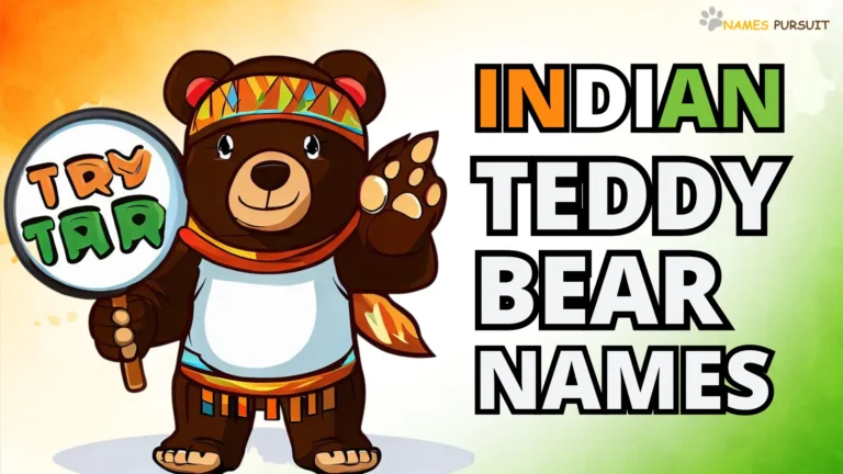 Indian Teddy Bear Names [70+ Traditional Ideas]