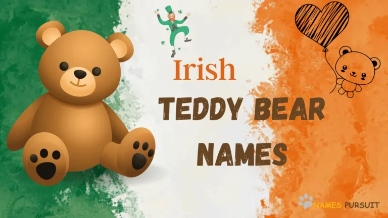 60+ Irish Bear Names! Charm and Strength Combined