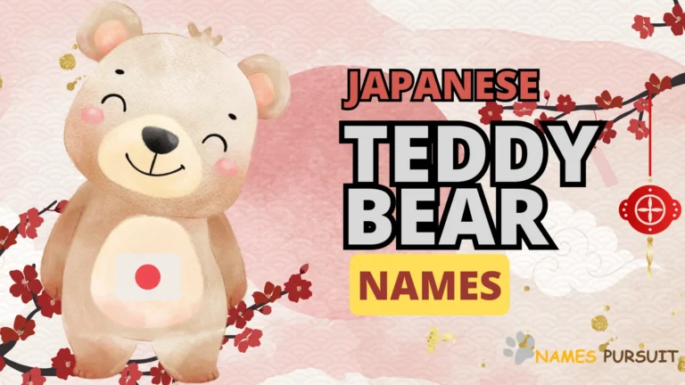 70+ Japanese Teddy Bear Names With Meaning