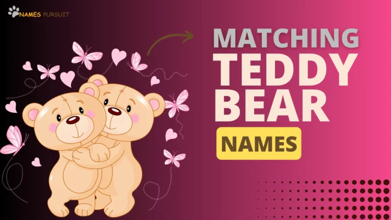 Matching Teddy Bear Names [100+ Adorable Options]