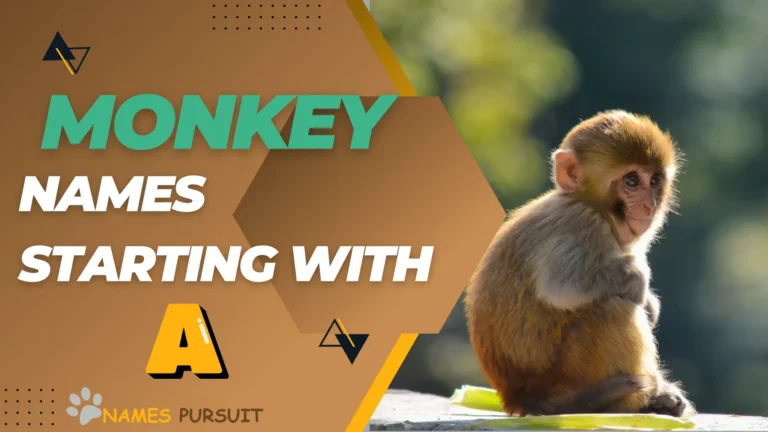60+ Monkey Names Starting with ‘A’