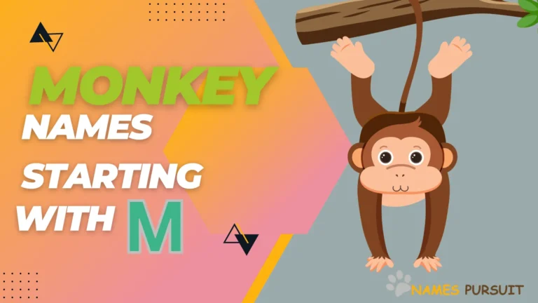 Best Monkey Names Starting with ‘M’