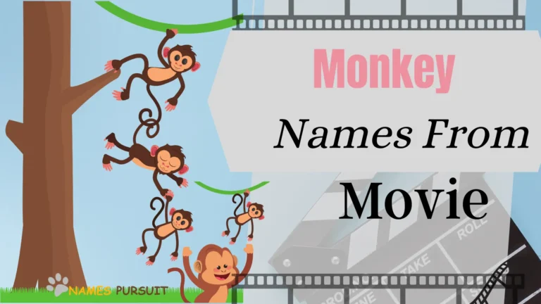 Monkey Names from Movies: A List You’ll Love