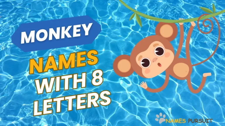 Best Monkey Names with 8 Letters