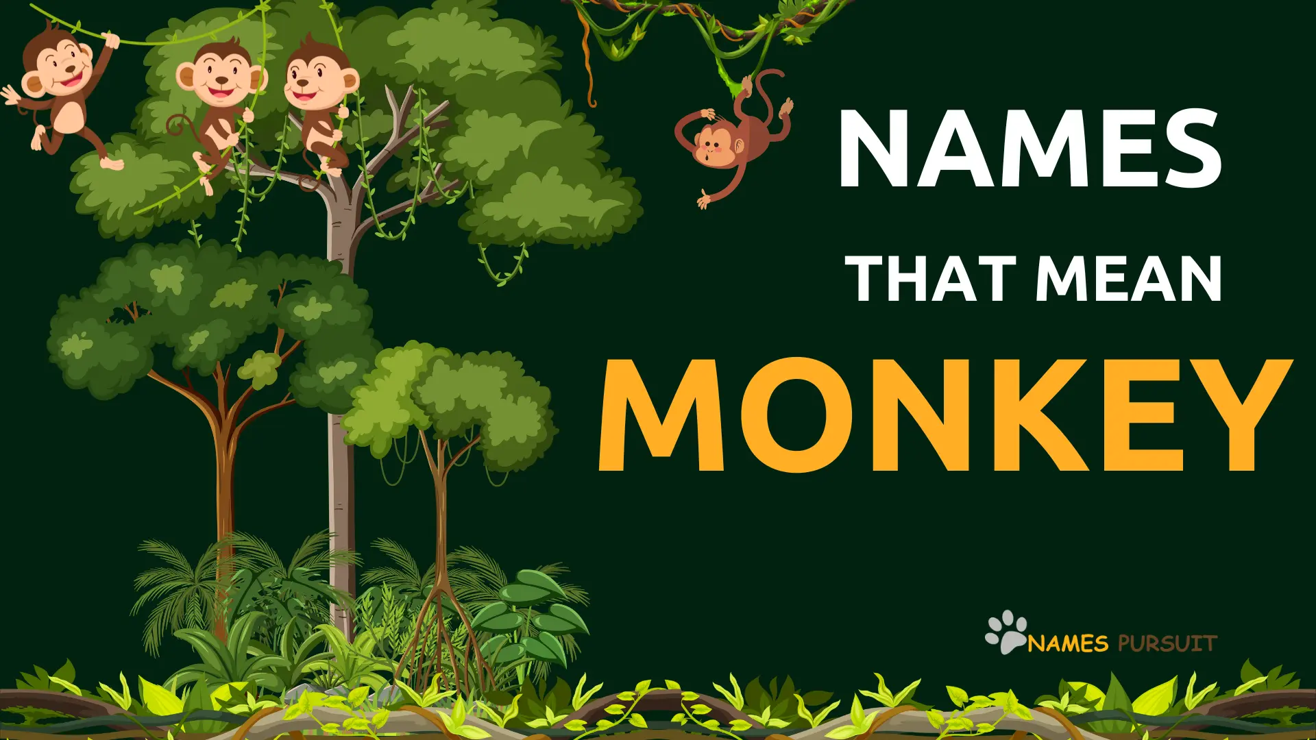 Names That Mean Monkey