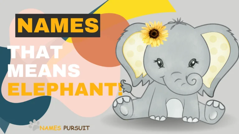 Names that Mean Elephant!