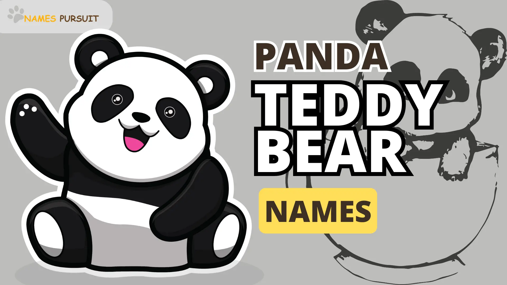 Panda Teddy Bear Names