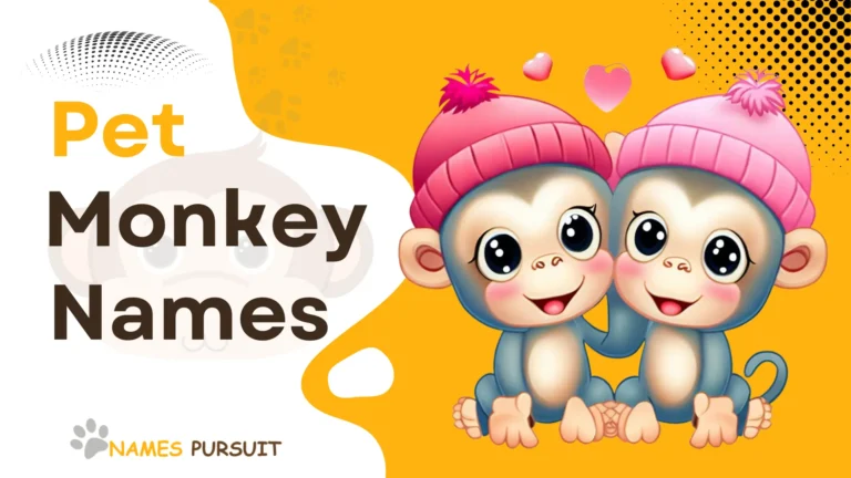 700+ Pet Monkey Names (Famous, Cute, Funny, & Unique)
