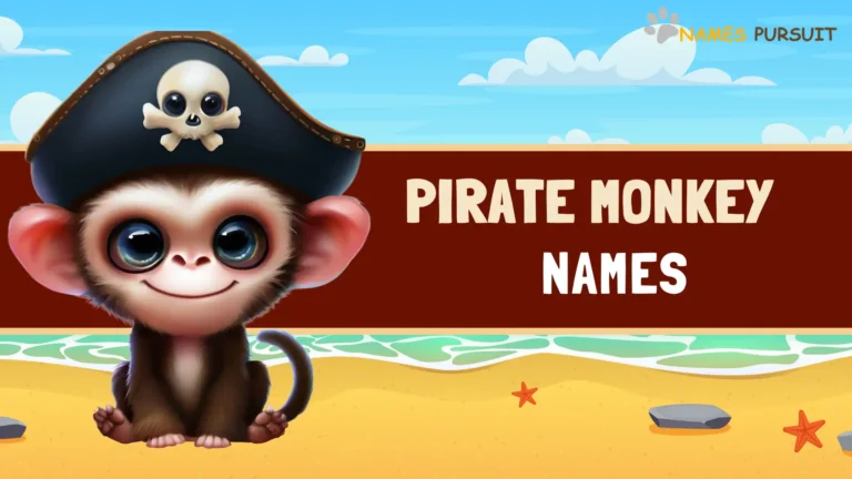 Pirate Monkey Names (Sailing the High Seas)