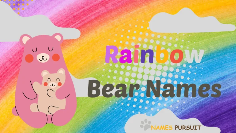Rainbow Bear Names [50+ Magical Naming Ideas]