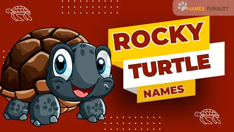 70+ Best Rocky Turtle Names – Inspired by Nature