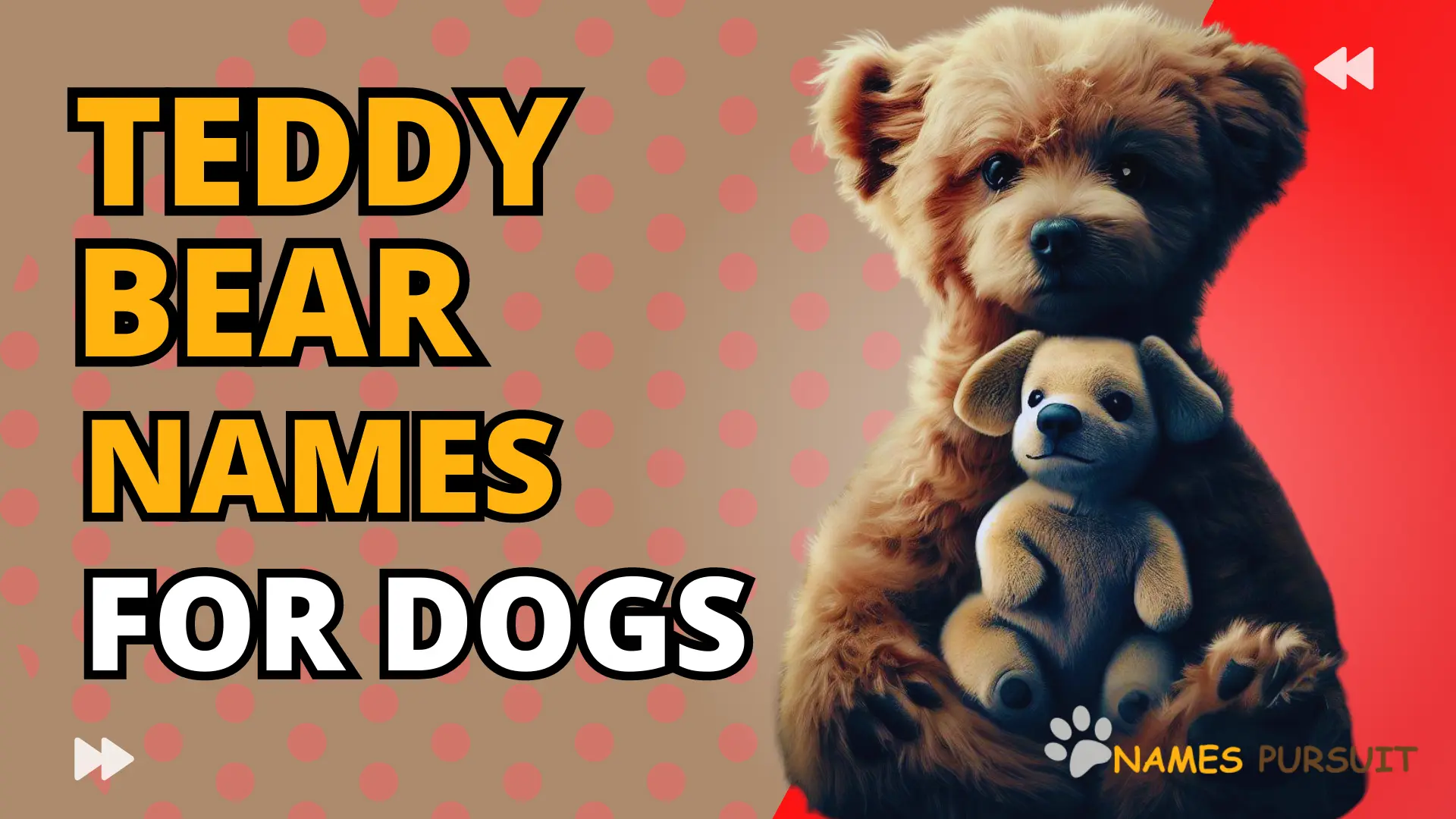 Teddy Bear Names for Dogs A to Z