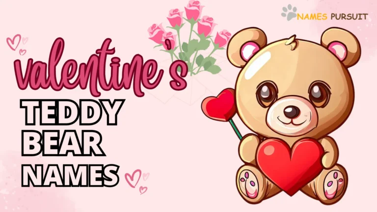 Valentine Teddy Bear Names (Romantic & Cute)