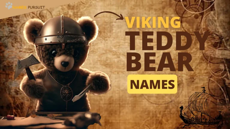 Viking Bear Names [100+ Naming Ideas]