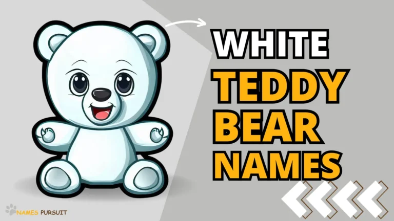 70+ White Teddy Bear Names Ideas! Find the Perfect Match