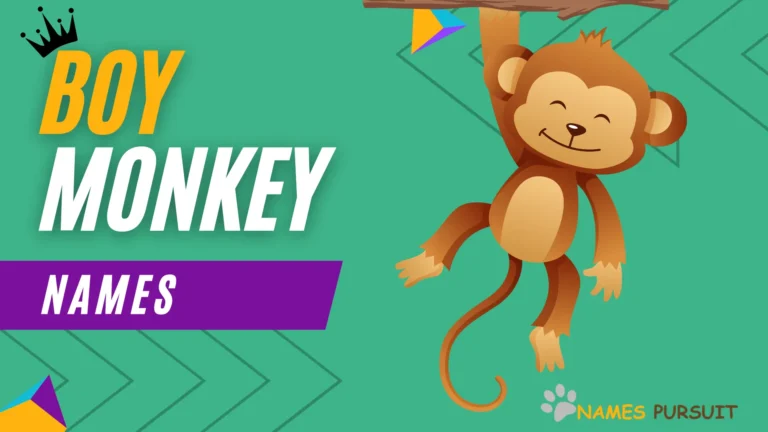 300+ Boy Monkey Names (Cute, Funny & Unique)