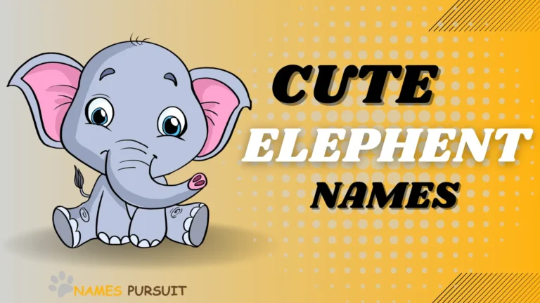 300+ Cute Elephant Names in 2024 [A-Z List]