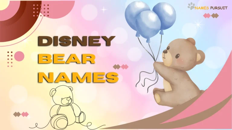 Explore Iconic Disney Bear Names! From East to West