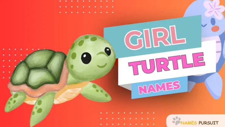 Top Girl Turtle Names (A-Z, Famous, & Cute Ideas)