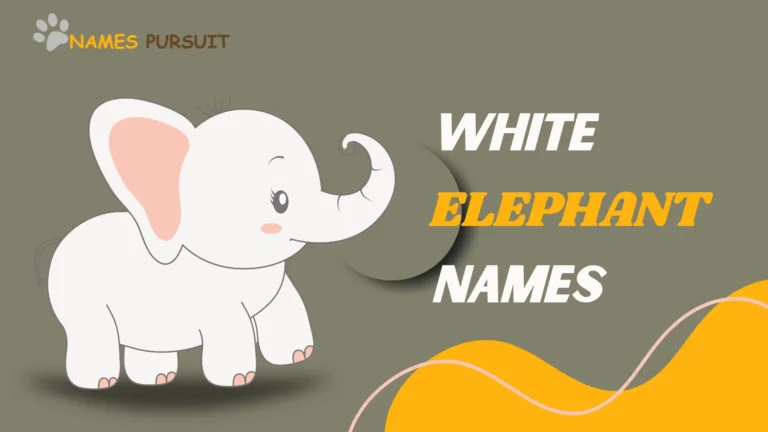 White Elephant Names [70+ Charming Ideas]