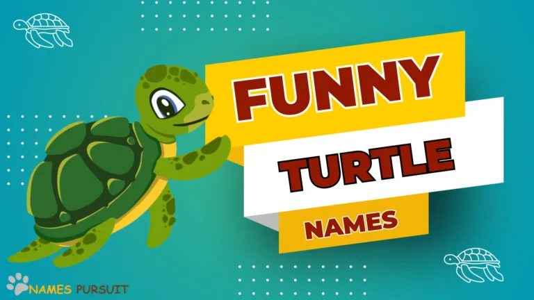 Funny Turtle Names [120+ Hilarious Ideas]