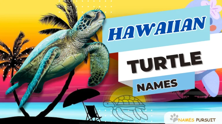 Hawaiian Turtle Names With Meaning (120+ Ideas)