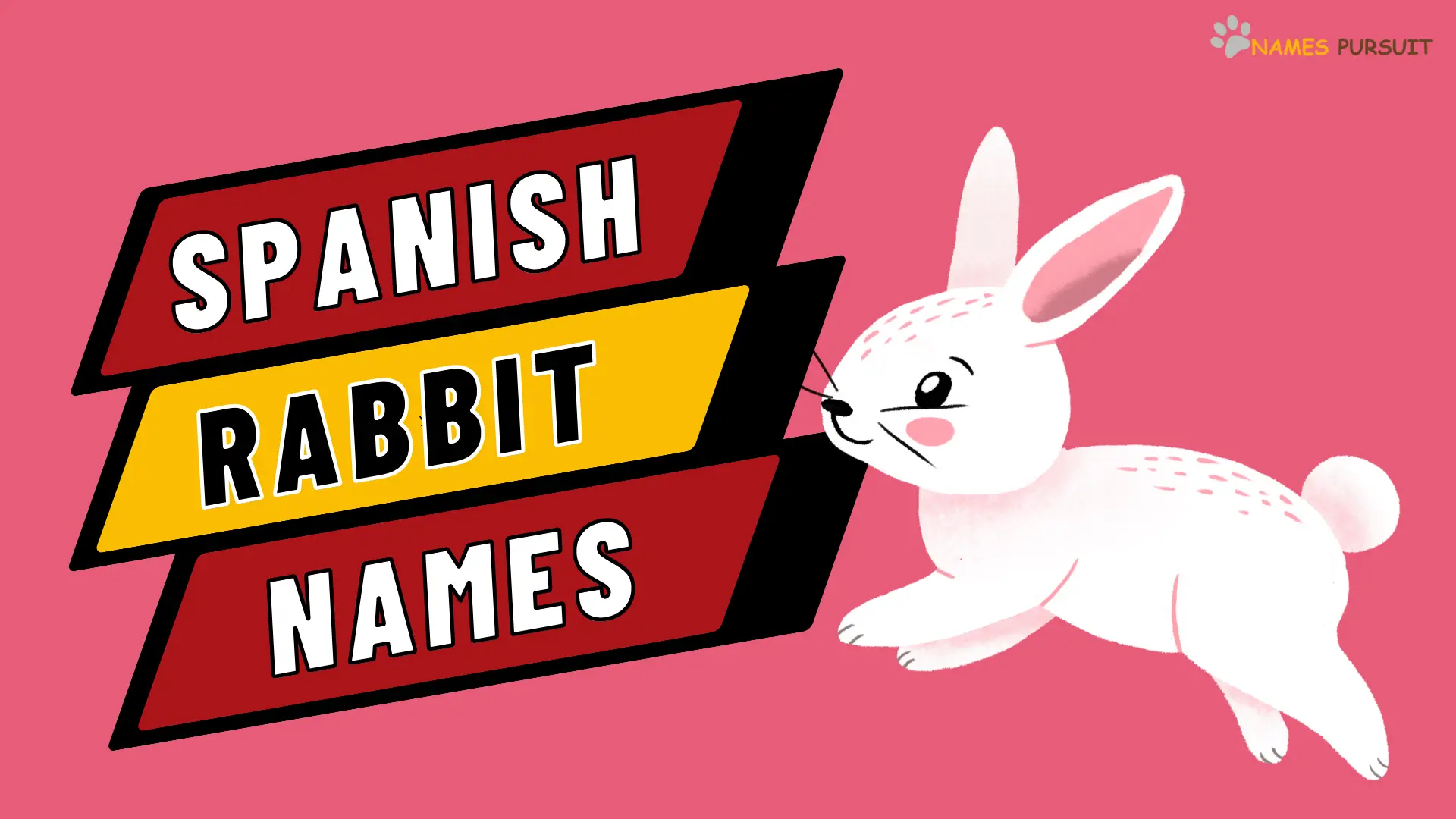 100+ Spanish Rabbit Names