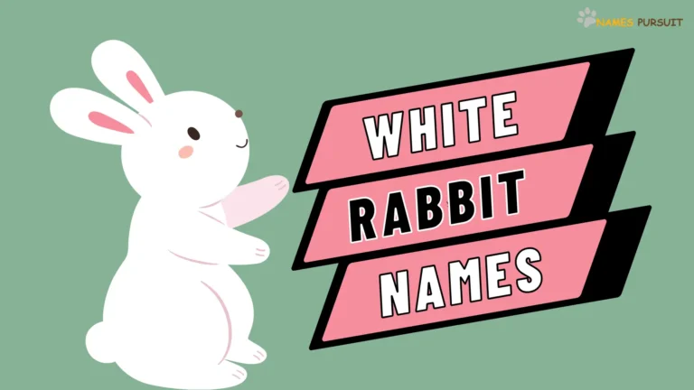 White Rabbit Names [150+ Cute Ideas for Your Bunny]