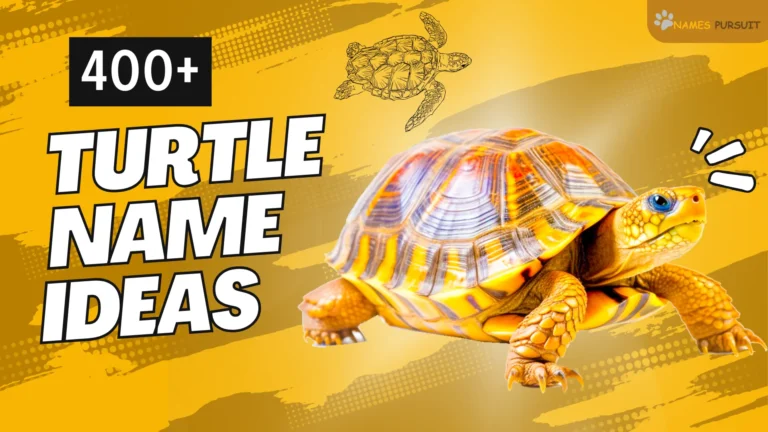 450+ Turtle Names Ideas: Cute, Badass & Famous (A-Z List)  