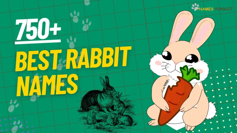 750+ Best Rabbit Names [Famous & Cute Ideas for Bunny]