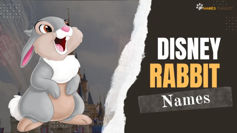 Disney Rabbit Names [Cartoon-Inspired Bunny Naming Ideas]