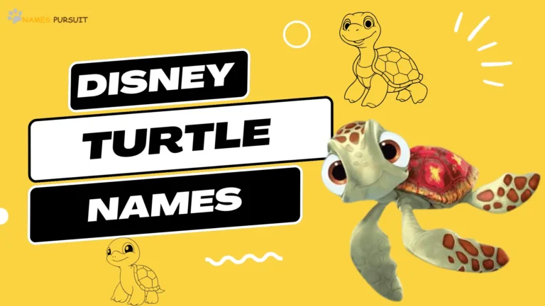 Disney Turtle Names [Inspired by Popular Cartoons]