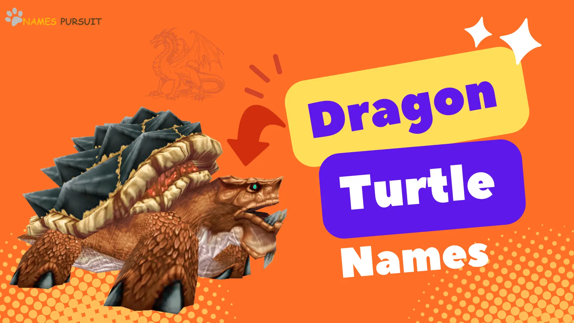 Dragon Turtle Names