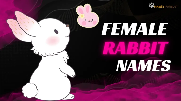 Female Rabbit Names [200+ Ideas for Adorable Girl Bunny]