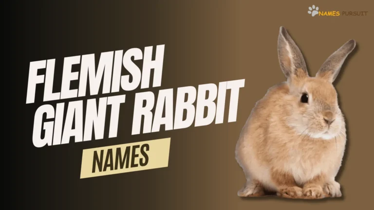 Flemish Giant Rabbit Names [50+ Popular Ideas]