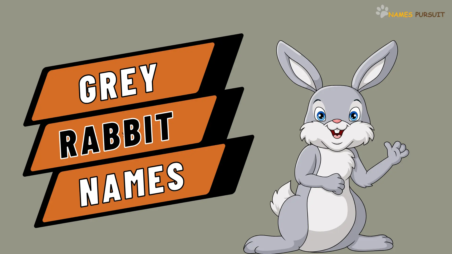 Grey Rabbit Names
